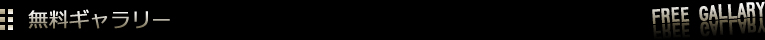 ̵�������꡼
